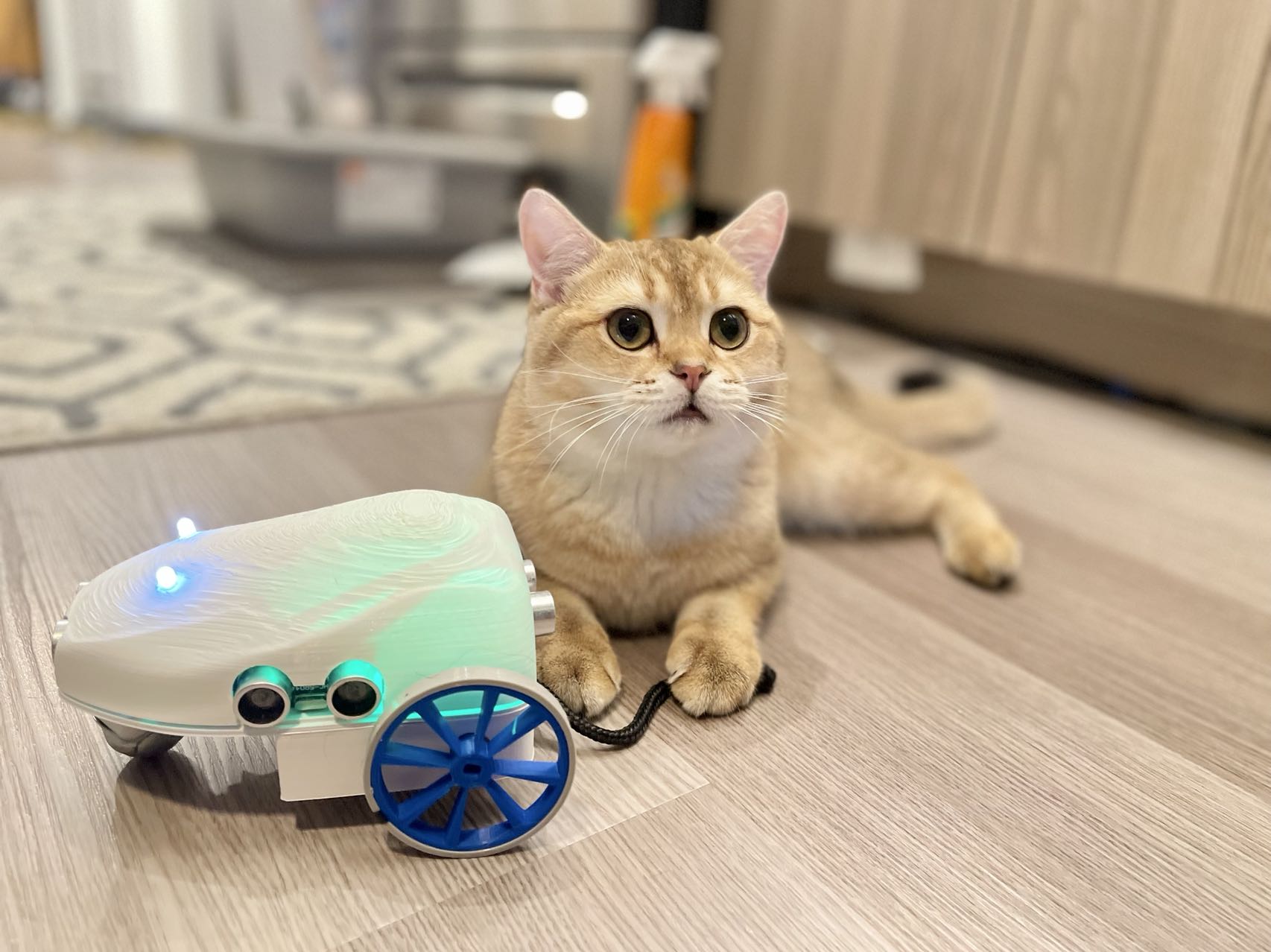 Electronic Mouse (Cat Toy)